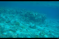 DCIM102GOPROG3395605.