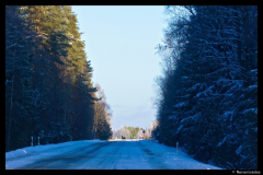 DSC04290