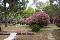 20170617_203214