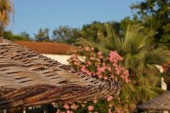 DSC01288