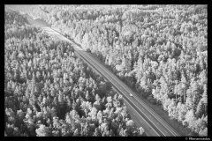 DSC00954