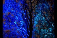 DSC03458