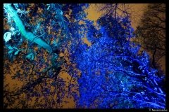 DSC03462