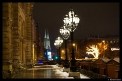 DSC03990