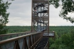 Lajų takas