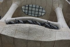 DSC04601