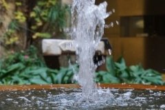 DSC05453