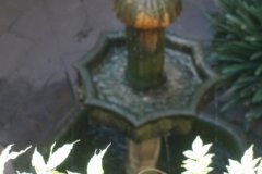 DSC05465