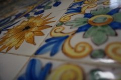 DSC05475