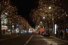 DSC06002