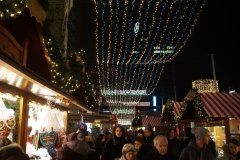 DSC06017
