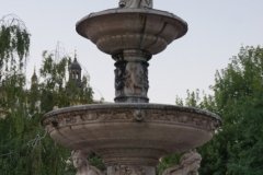 DSC02554