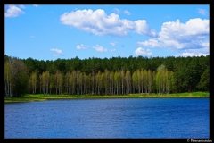 DSC09040