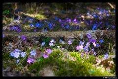 DSC09086
