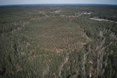 DJI_0921
