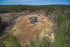 DJI_0933
