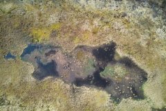 DJI_0948