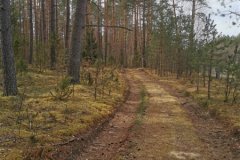 IMG_20200501_132607