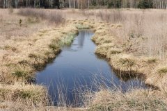 IMG_20200501_160840