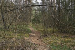 IMG_20200501_165858