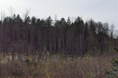 IMG_20200501_172559