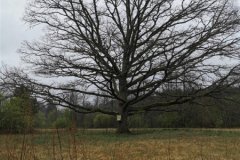 IMG_20200502_135918