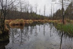 IMG_20200502_153736