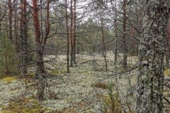 IMG_20200502_154538