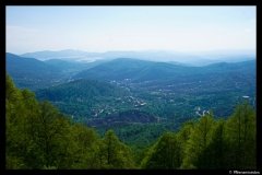 DSC09184
