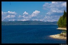 DSC09219