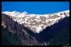 DSC09398
