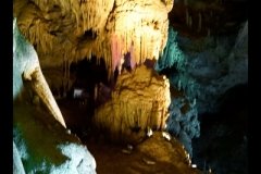 DSC09602