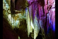 DSC09605