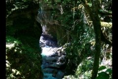 DSC09650