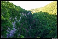 DSC09854