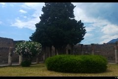 20180617_143243-01