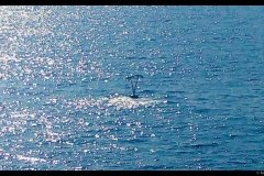 20180619_172634-01
