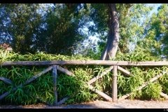 20180620_083753-01