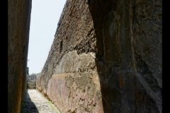 DSC01598-01