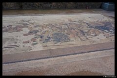 DSC01620-01