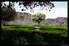 DSC01623-01