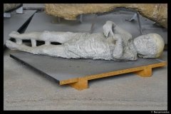 DSC01626-01