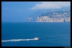 DSC01638-01