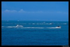 DSC01639-01-1