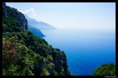 DSC01676-01