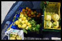 DSC01682-01