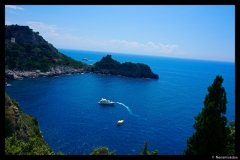 DSC01745-01