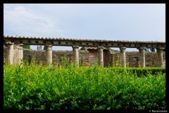 DSC01768-01