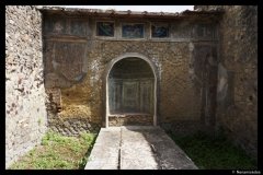 DSC01769-01