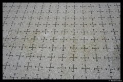 DSC01775-01